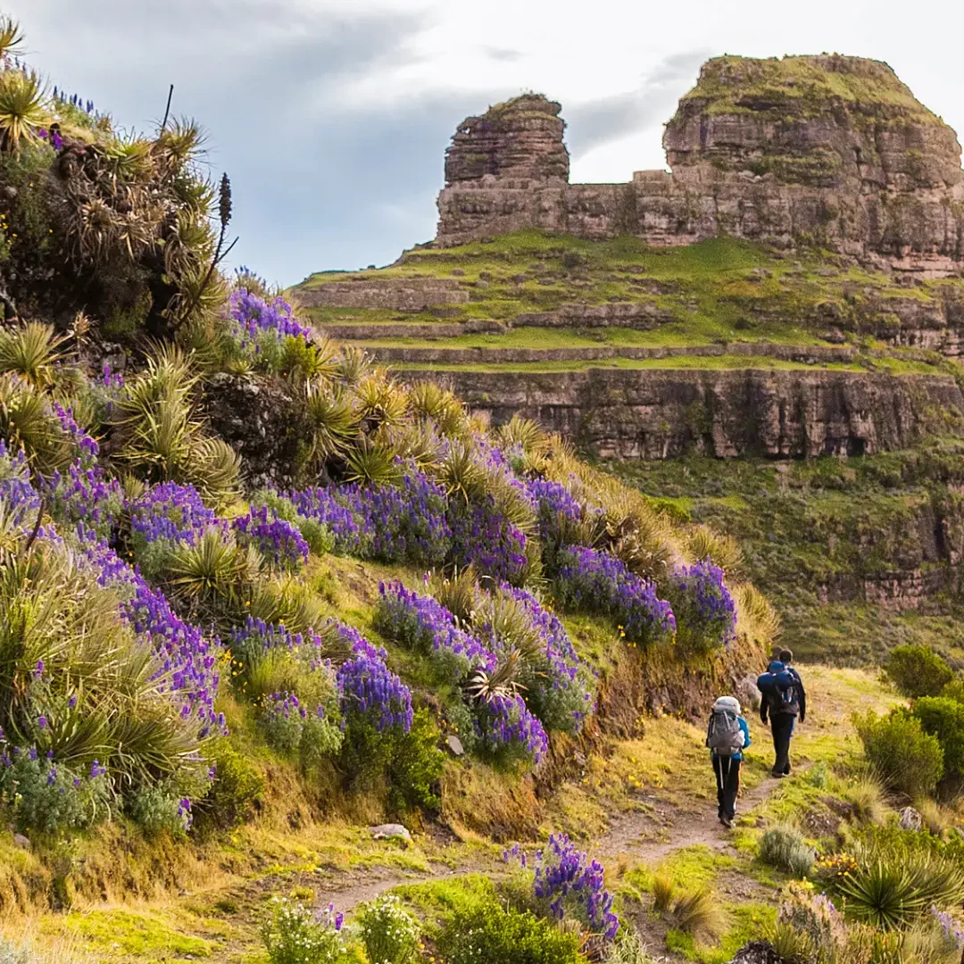 full-day-caminata-a-waqrapukara